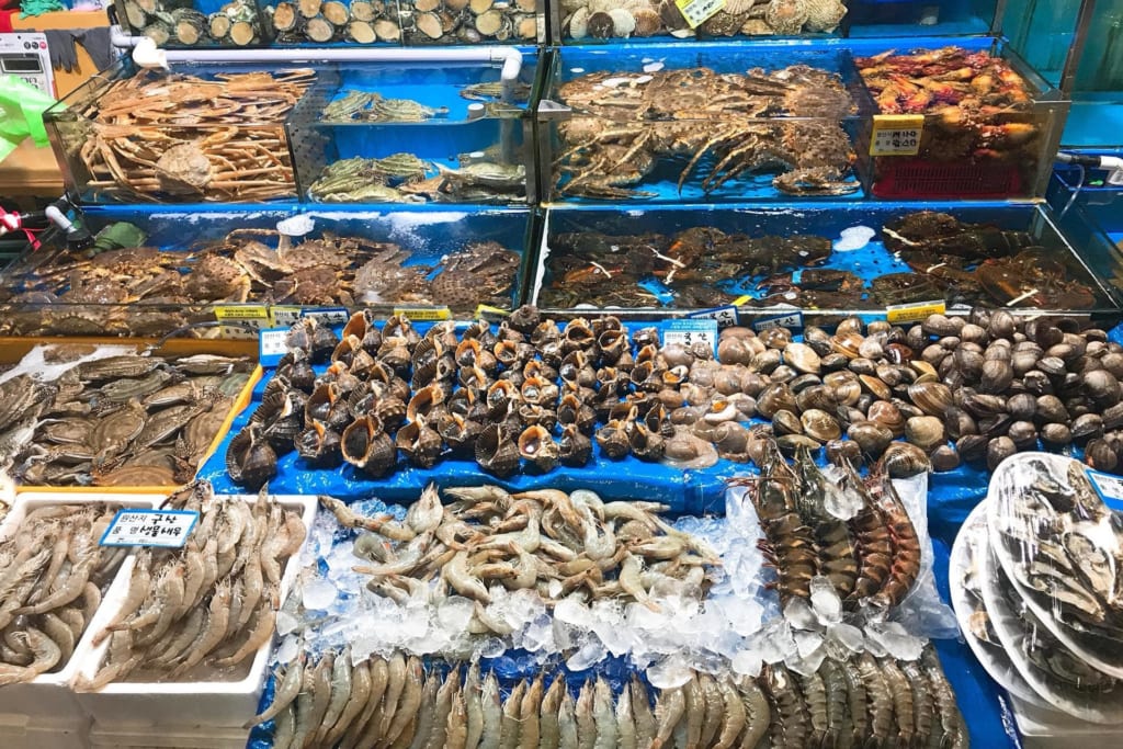 Cảng Cá Bình Châu Vũng Tàu - Địa Điểm Được Giới Trẻ Săn Lùng Trong Mùa Hè